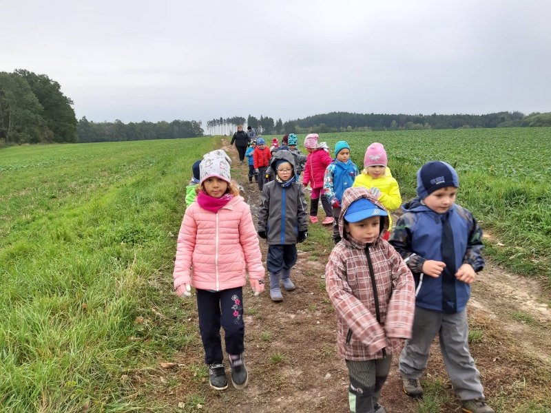 Procházka k lesu a sběr ořechů 8.10.2019 - Image 1