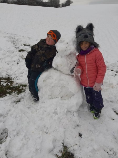 Zvířátka v zimě - Image 1