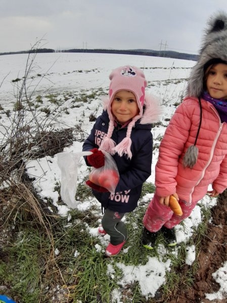 Zvířátka v zimě - Image 10