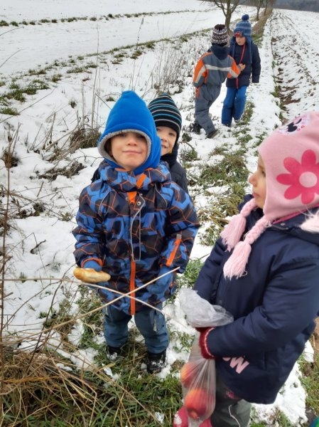 Zvířátka v zimě - Image 11