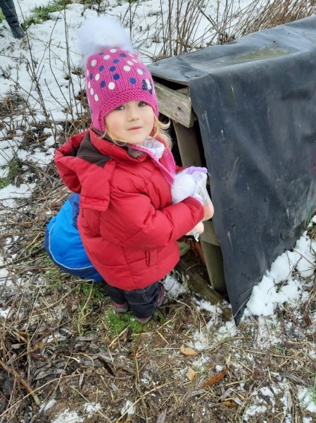 Zvířátka v zimě - Image 12