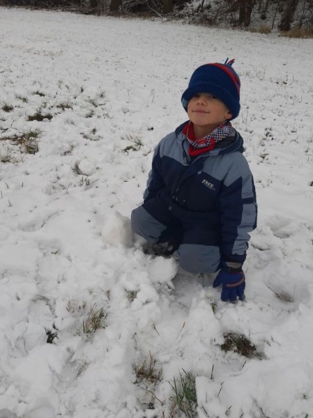 Zvířátka v zimě - Image 2