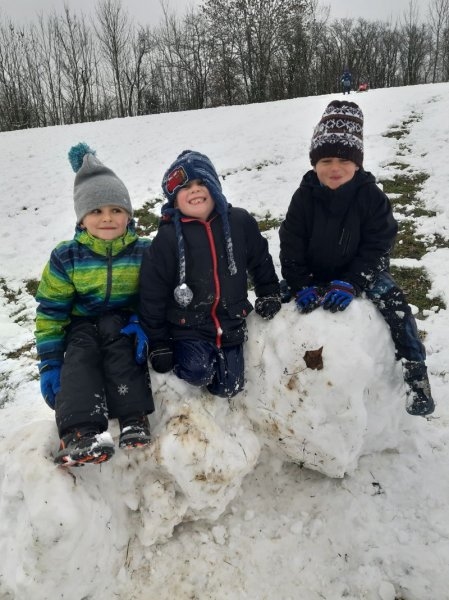 Zvířátka v zimě - Image 3