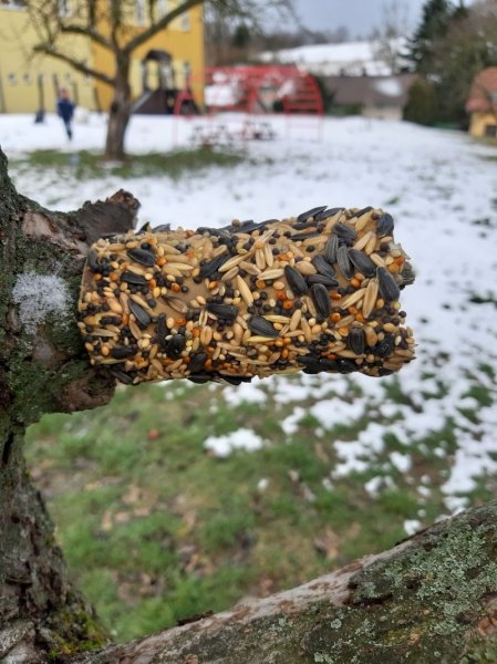 Zvířátka v zimě - Image 6