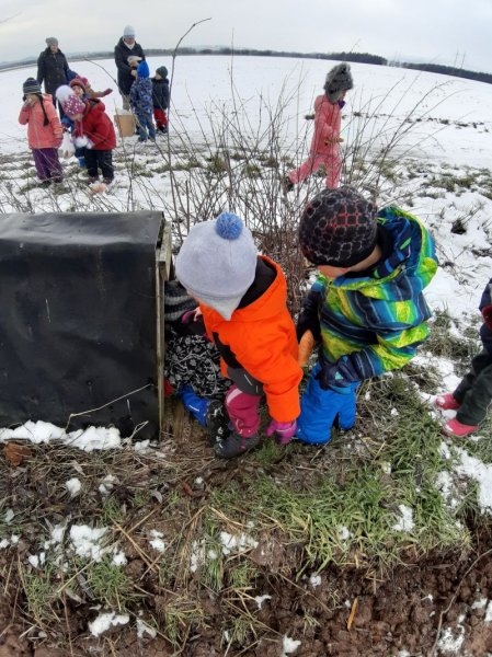 Zvířátka v zimě - Image 9