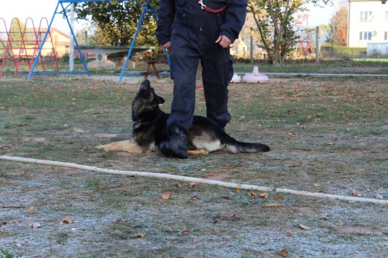 Návštěva od policie &#8211; 22. 10. 2018 - Image 6