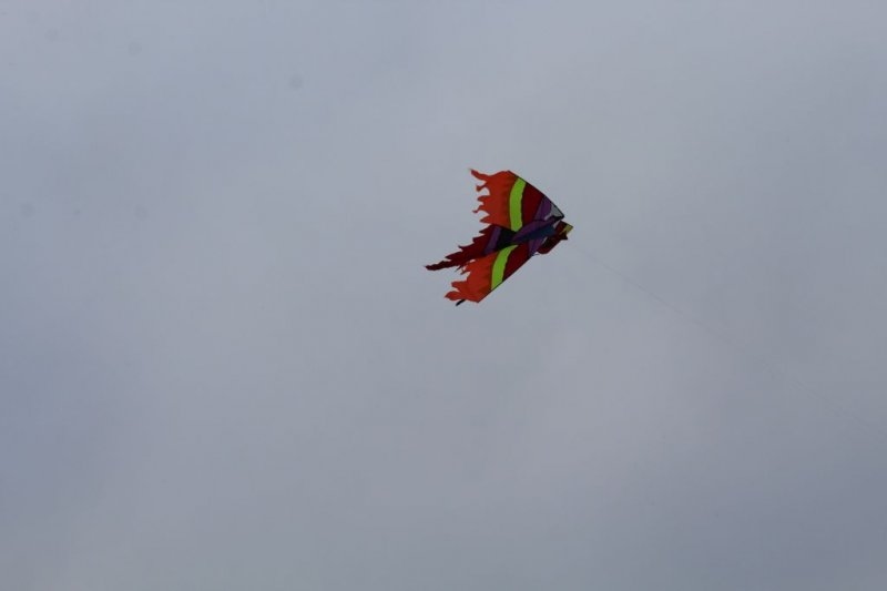 Drakiáda &#8211; 23. 10. 2019 - Image 5