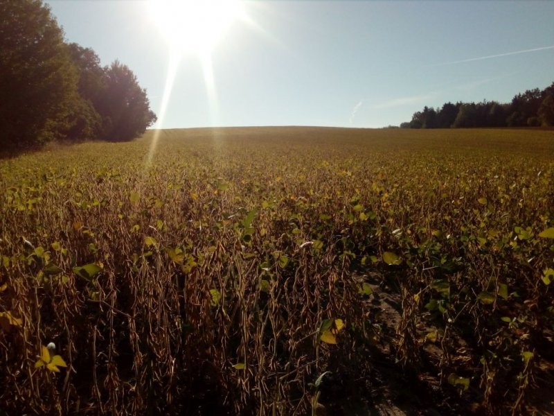 Výletníci - Image 2