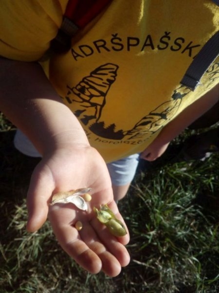 Výletníci - Image 4