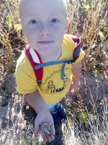 Výletníci - Image 5