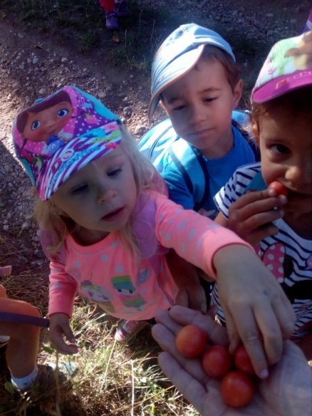 Výletníci - Image 7