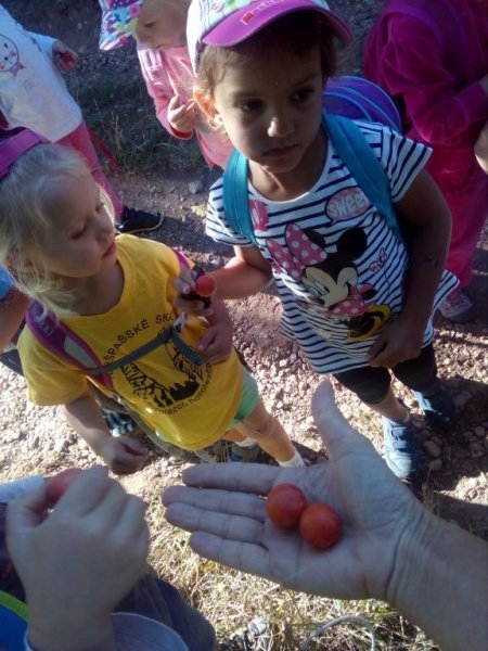 Výletníci - Image 6