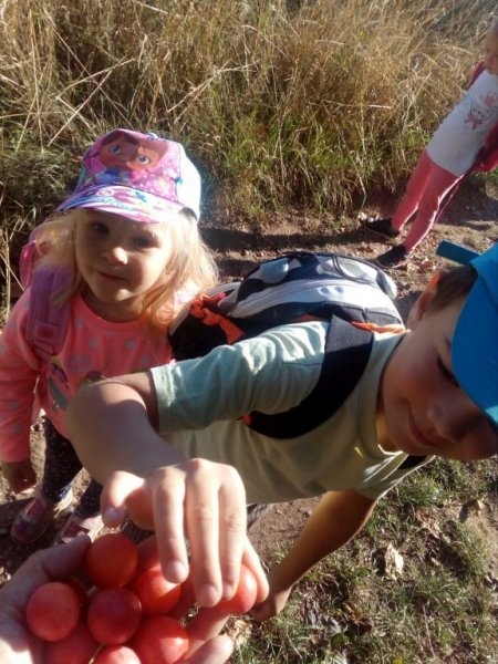 Výletníci - Image 8