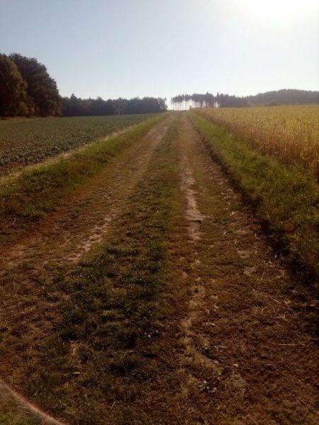 Výletníci - Image 9