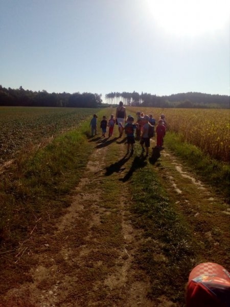 Výletníci - Image 14