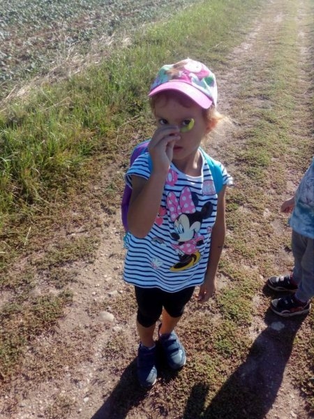 Výletníci - Image 13