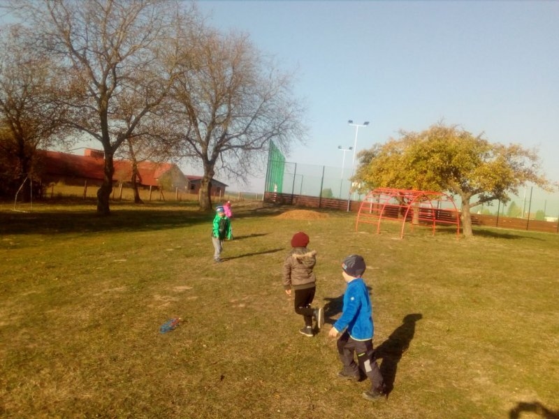 Letadýlka - Image 7