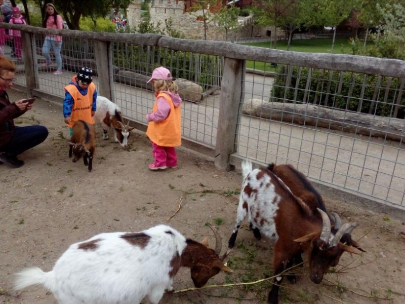 Výlet 14. 5. 2019 &#8211;  Park Mirakulum - Image 19