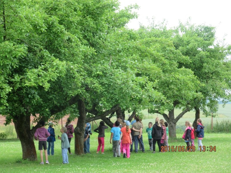 Hledání pokladu a výroba antistresových míčků,29.6.2015 - Image 3