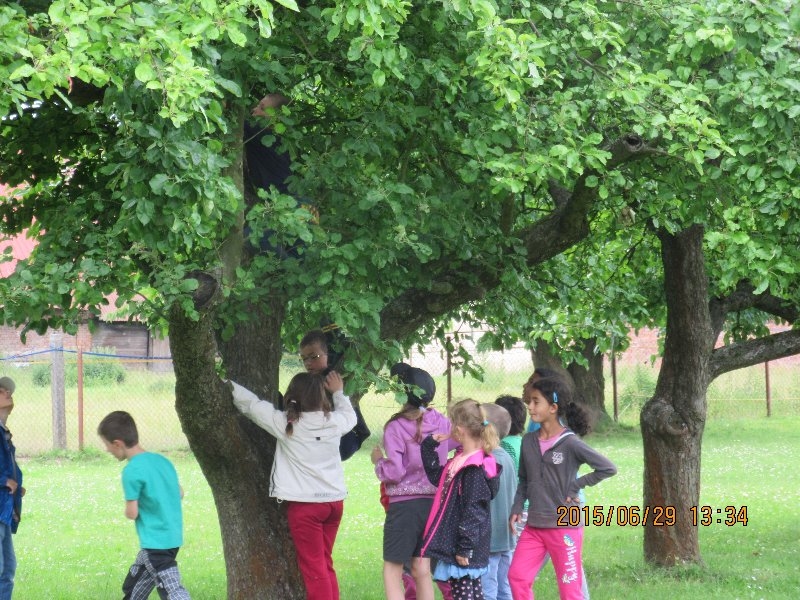 Hledání pokladu a výroba antistresových míčků,29.6.2015 - Image 4