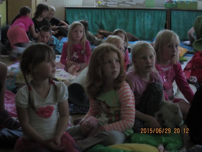 Promítání s panem Kučerou, stezka odvahy,29.6.2015 - Image 13