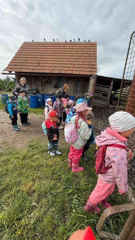 Pěší výlet do Úlibic k oboře s daňky a muflony - 12. 6. 2026