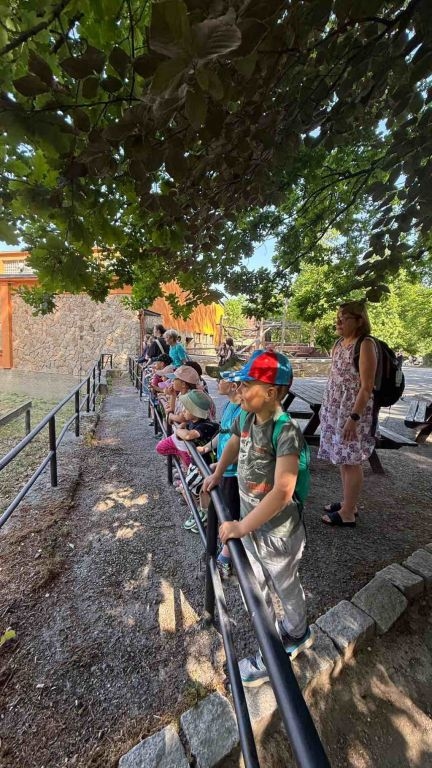 Výlet MŠ do Zoo Liberec