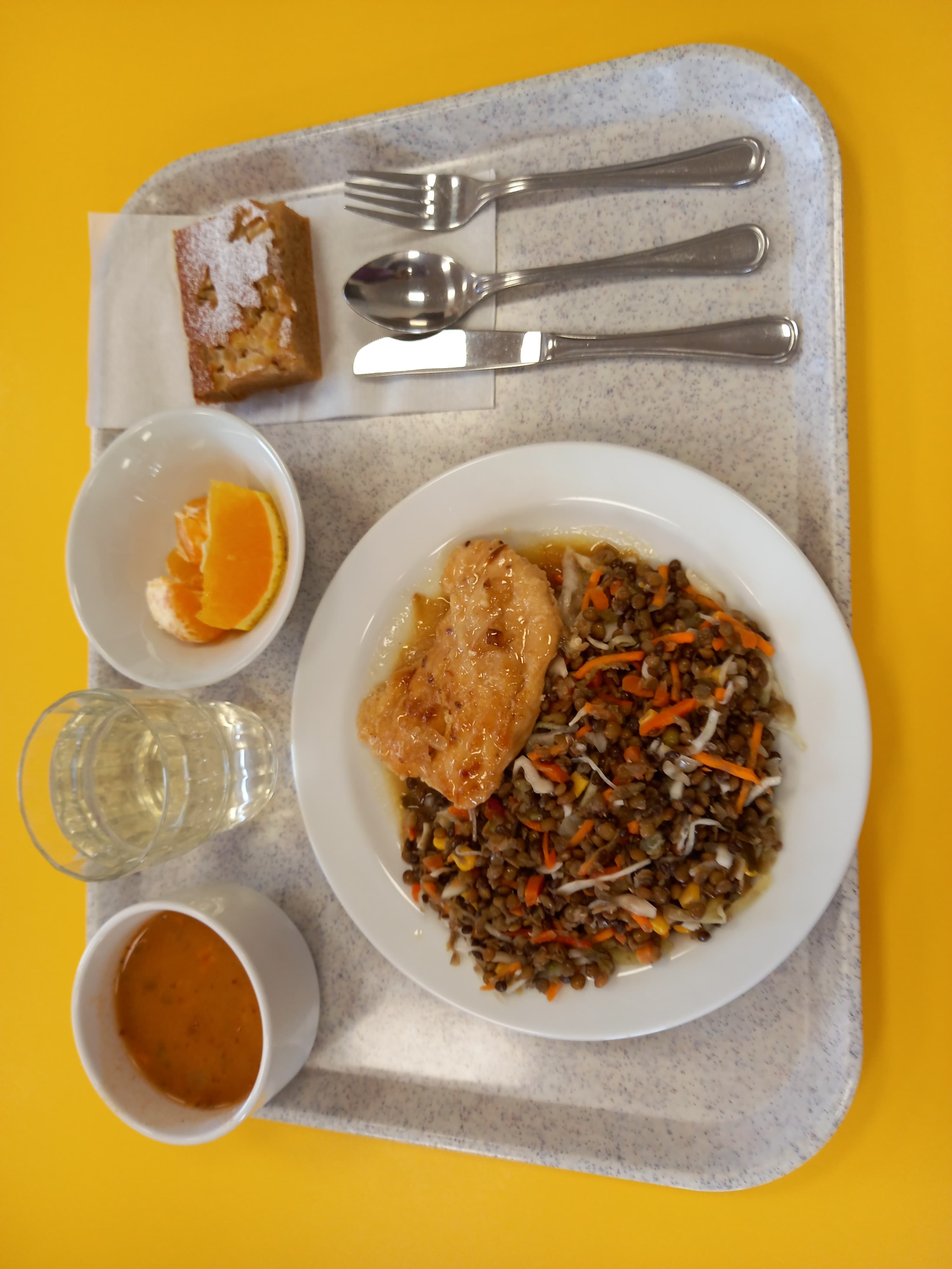 Kuře s rýží a zeleninou