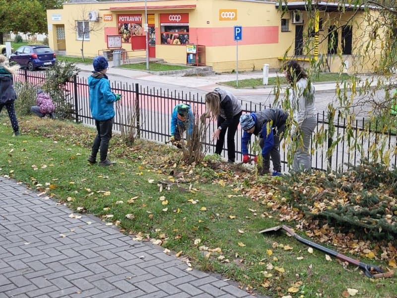 Venkovní aktivity - úprava záhonu