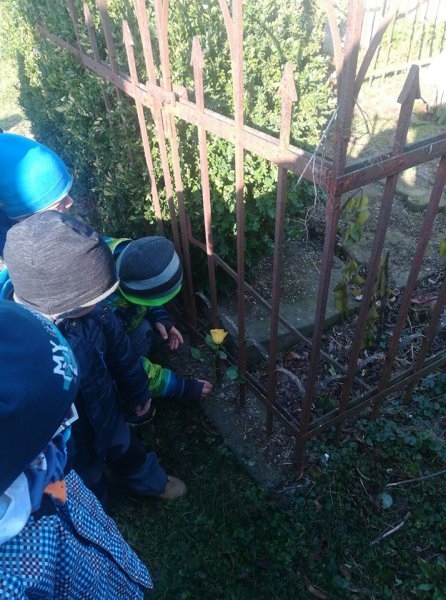 Návštěva místního hřbitova 1.11.2019 - Image 4